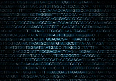A DNA sequence represented by its base letters.